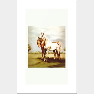 Arabian Horses. Best Friends. Posters and Art